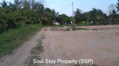 436150376 713341884196878 5926363982048942370 n