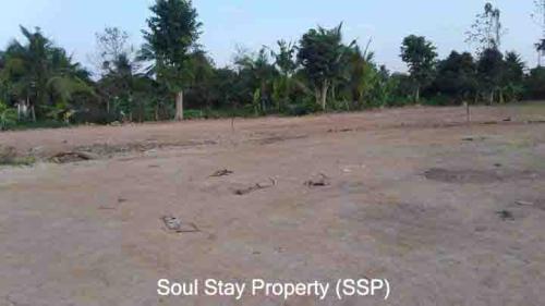 436259049 1013188220398096 4505933846748203191 n