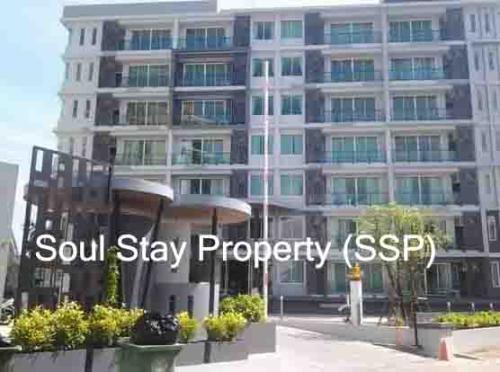 436259049 839262661633696 6178704372493824373 n