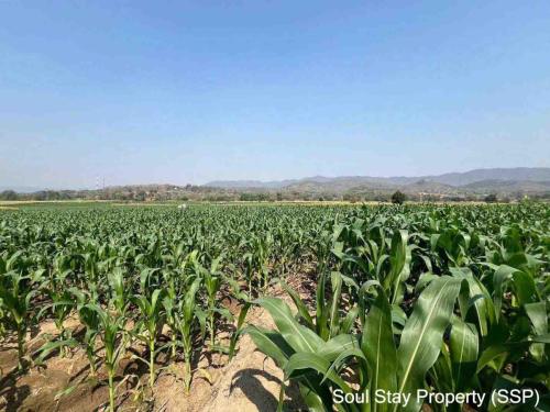 436468412 740945237968869 2877360581006919411 n