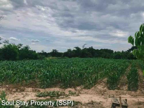 436732253 990931355505775 2922110644783980151 n