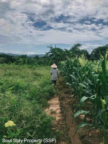 438329618 496812626015062 4426581704895761137 n