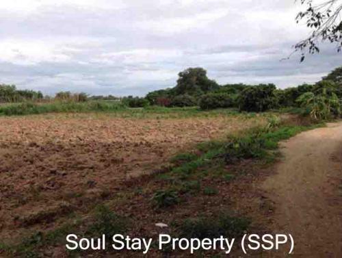 441164264 961428822432241 6316675107609085678 n