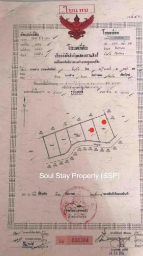 441171407 1619676302217532 5517341724496869841 n