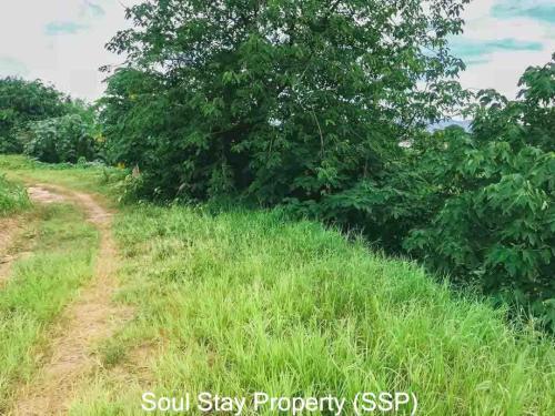 441894990 2686295374879985 2430092523577040169 n