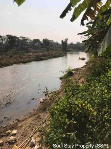 441929572 1136002400958855 5490756891097306986 n