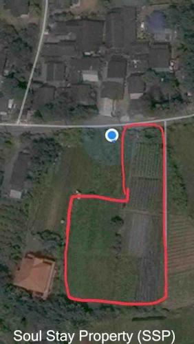 441929572 1490929538221680 105984162488039043 n