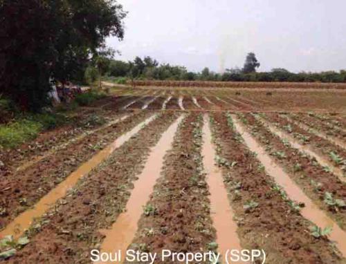 444784657 478504614633977 145296676023033352 n