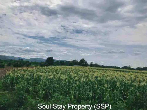 445387500 8322533824443167 60858097835343371 n