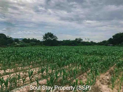 445596134 1010425180702525 203576294998174724 n