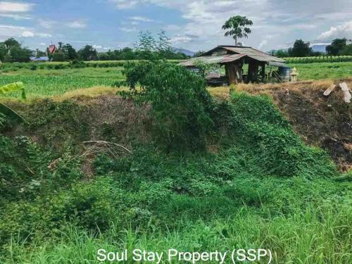 445647916 815633583963470 6237049990268809122 n