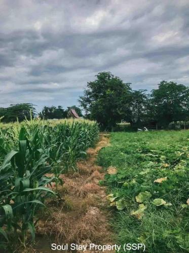 445811837 1144386300174634 8894555713346932101 n