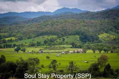 445867641 414032318278638 3485804411779488782 n