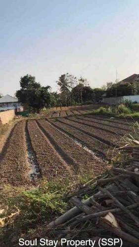 447627298 2000454850352526 80012292676676862 n