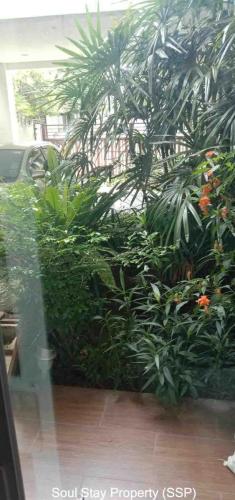 447761507 763706655936603 5939679962508597926 n