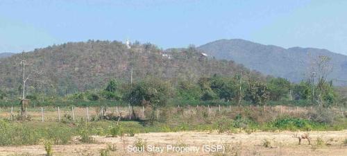 448099341 1003417674086453 8166656798808577032 n-1