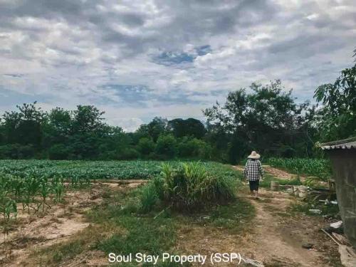 448167758 2182483992115988 1267832705077811298 n