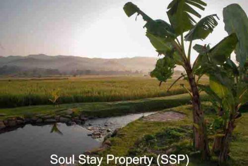 448327861 1001071618278257 3925340531665074574 n