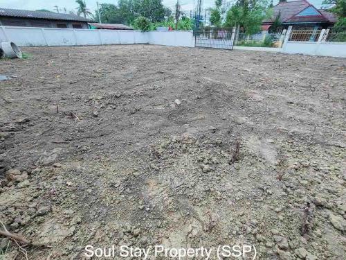 448411077 973885434204109 681702996061032082 n-1