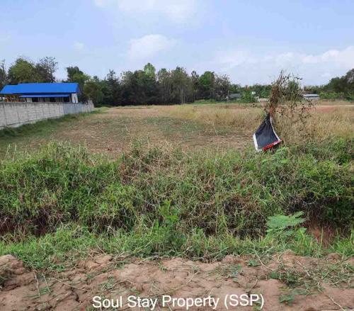 448412506 979199593876679 6621683031780119710 n