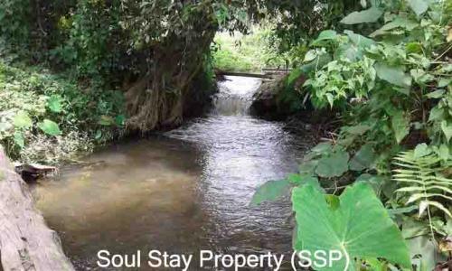 448425146 315214421664628 1571486717153465247 n