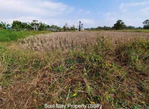 448431805 1651269305714744 2209786077948076375 n (1)