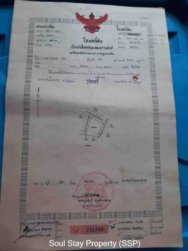 448490762 1420797875257359 7675743936429775344 n