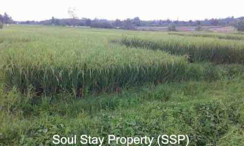 448507190 977180197468660 4520051586597234010 n