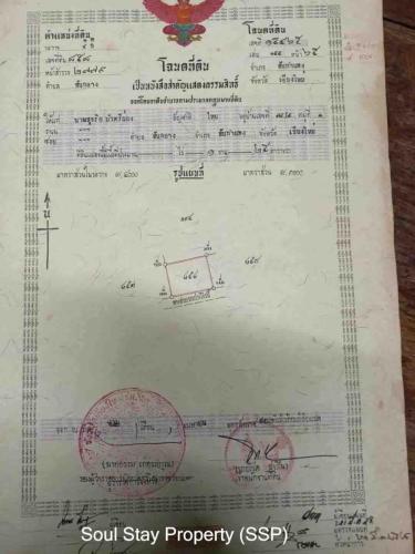 448517767 751432797066913 3328985165084163231 n