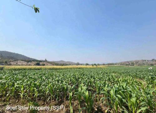 448524355 839492854715560 6119109102209511534 n