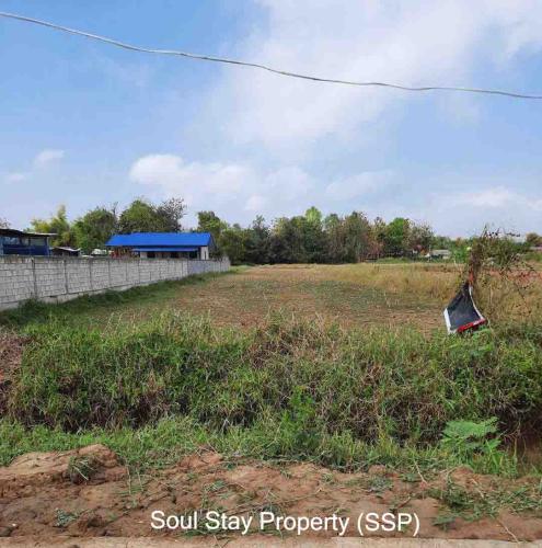 448560922 1195768781863243 7844296272810151271 n-1 (1)