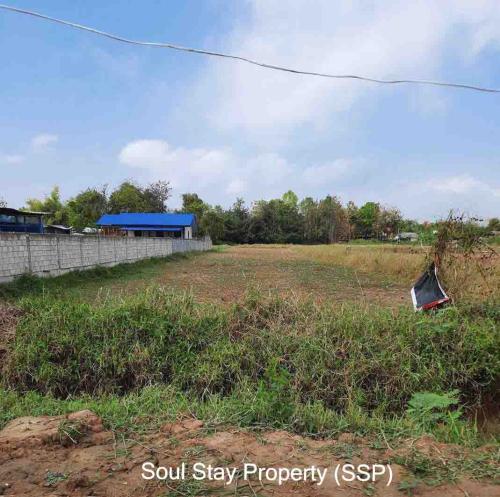 448560922 1195768781863243 7844296272810151271 n (1)