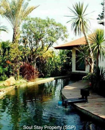 448570095 926160852614527 6271659305059649394 n