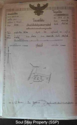 448595923 479288021271123 3871913519140948841 n (1)