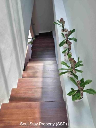 448608988 492151549825843 5792461257305334067 n