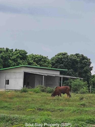 448655150 1407229049991640 7643270401916520471 n