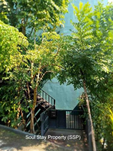 448728348 7619962998051067 2994426202266094053 n