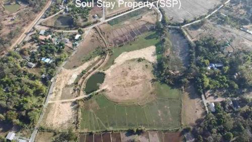 448762264 1261930638119718 6709023560318657 n-1