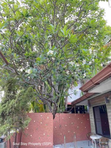 448764599 1633939630784642 9033030773931834609 n