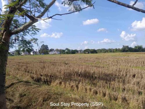 448773868 1215269372824002 2887637460059974875 n