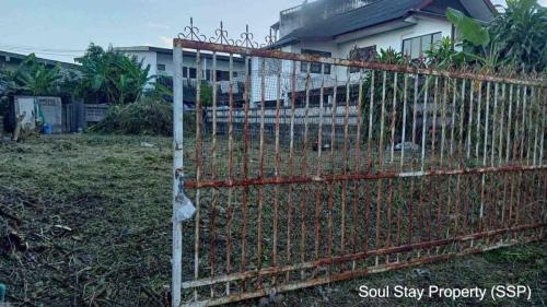 448773875 1767820753745491 4890625061990104444 n