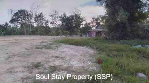 448802453 1833661120446530 5902106736835600782 n