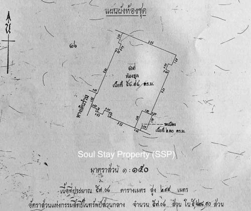 448807070 487234770449508 4854058989380966516 n