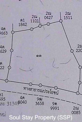 448812075 1203833984118988 3209365864108560459 n