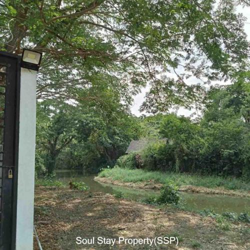 448812452 494792659598812 6813714102763391141 n