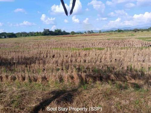 448816795 471804858797549 9120322715892036061 n