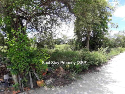 448837387 940259184539966 729272170745247381 n