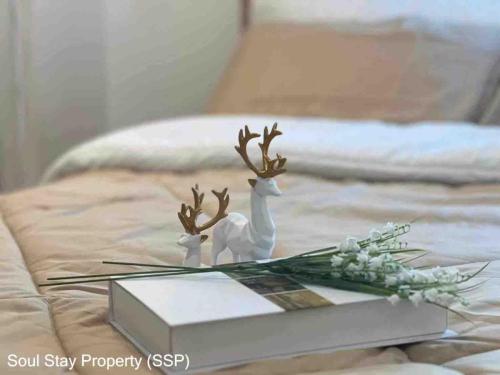 448838606 459467256948260 5358512243052280090 n