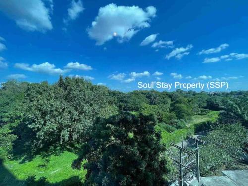 448838609 358846530561000 5568147840863505408 n