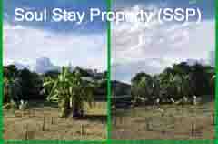 448846469 1525721375021569 6444916084070494920 n